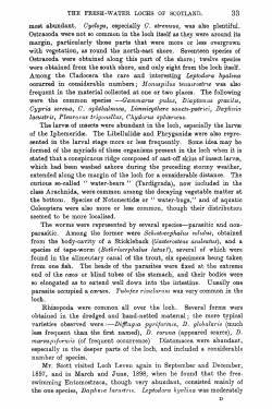 most abundant. Cyclops, especially C. strenuus, was also plentiful