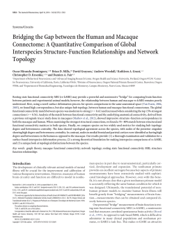 Bridging the Gap between the Human and Macaque Connectome: A