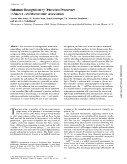 Substrate Recognition by Osteoclast Precursors Induces C