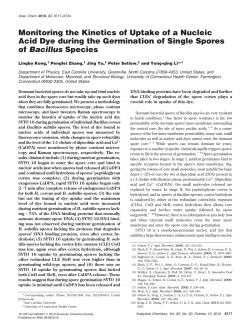 Monitoring the Kinetics of Uptake of a Nucleic Acid Dye during the
