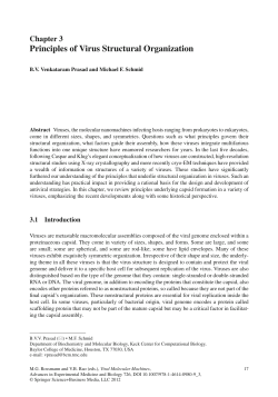 Principles of Virus Structural Organization
