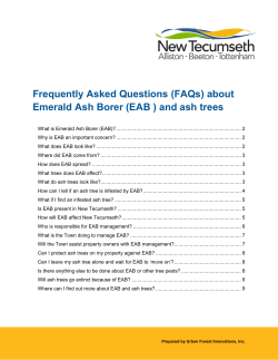 Frequently Asked Questions (FAQs) about Emerald Ash Borer (EAB