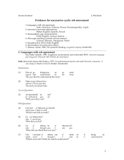 Evidence for successive cyclic wh