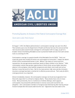 Promoting Equality: An Analysis of the Federal