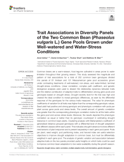 Trait Associations in Diversity Panels of the Two Common Bean