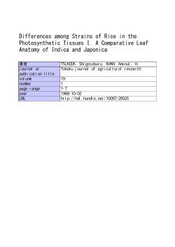 Photosynthetic Tissues