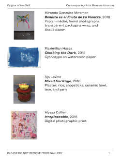 Large print exhibition labels - Contemporary Arts Museum Houston