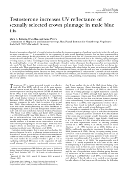 Testosterone increases UV reflectance of