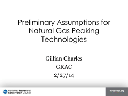 Preliminary Assumptions for Natural Gas Peaking Technologies