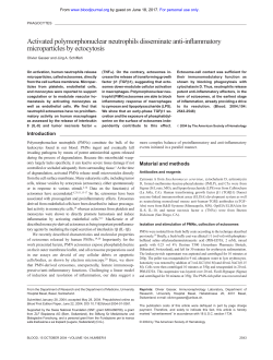 Activated polymorphonuclear neutrophils