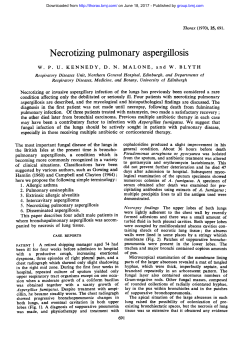 Necrotizing pulmonary aspergillosis