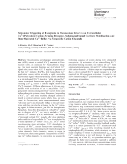 Polyamine Triggering of Exocytosis in Paramecium Involves an