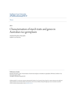 Characterisation of starch traits and genes in Australian rice