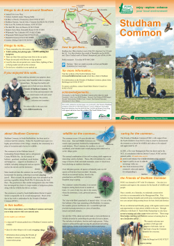 Studham Common Walk - The Chilterns AONB