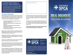 O.S.P.C.A. Ideal Doghouse for Outdoor Use in Ontario