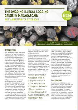 The OngOing illegal lOgging Crisis in MadagasCar: