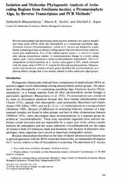 Isolation and Molecular Phylogenetic Analysis of