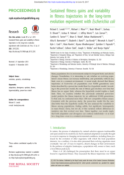 Sustained fitness gains and variability in fitness trajectories in the