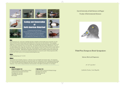 Here - Duck Specialist Group