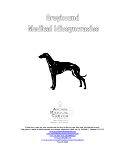 Greyhound Adoption of Ohio