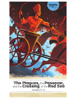 The Plagues,the Passover, and the Crossing of the Red Sea