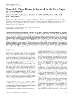 Drosophila Citron Kinase Is Required for the Final Steps of