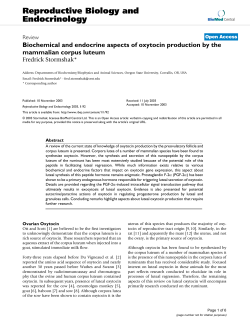 Biochemical and endocrine aspects of oxytocin production by the