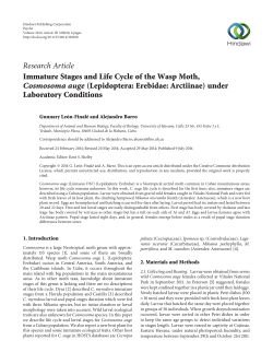 Immature Stages and Life Cycle of the Wasp Moth, Cosmosoma