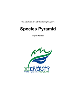 5. Species Pyramid