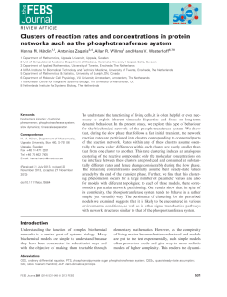 Clusters of reaction rates and concentrations in protein networks