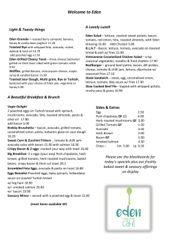 new menu here - Eden Rising Sun