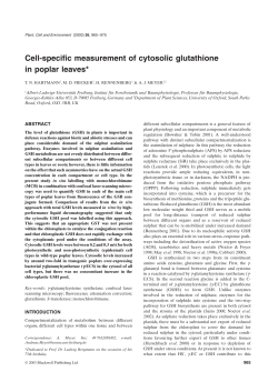 Cell-specific measurement of cytosolic glutathione