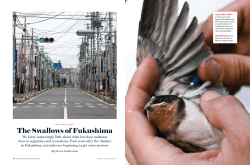 The Swallows of Fukushima - University of South Carolina