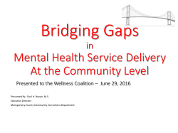 Bridging Gaps in Mental Health (P. Brown)