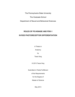 ROLES OF PI3-KINASE AND PDK-1 IN ROD PHOTORECEPTOR