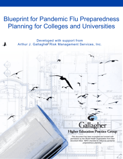 Blueprint for Pandemic Flu Preparedness Planning for