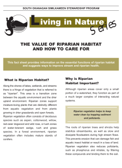 The Value of Riparian Habitat and how to care for it