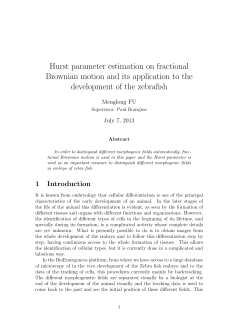Hurst parameter estimation on fractional Brownian motion and its