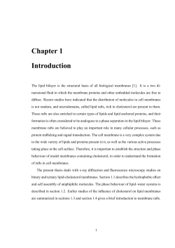 Chapter 1 Introduction
