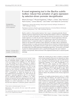A novel engineering tool in the Bacillus subtilis toolbox