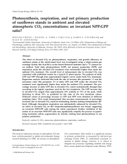 Photosynthesis, respiration, and net primary production of sun&macr;ower