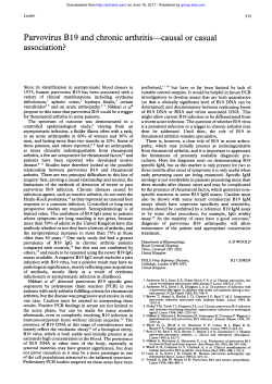 Parvovirus B19 and chronic arthritis