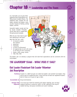 THE LEADERSHIP TEAM - WHAT DOES IT TAKE? Cub Leader