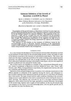 Substrate Inhibition of the Growth of Bacterium NCIB