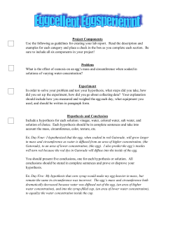 Project Components Use the following as guidelines for creating