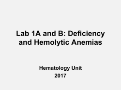 Lab 1 a/b Presentation