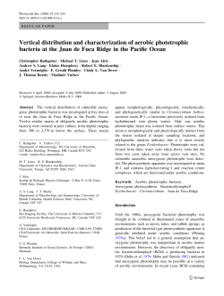 Vertical distribution and characterization of aerobic phototrophic