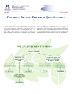 AGE OF LEAVES WITH SYMPTOMS - CALS Cooperative Extension