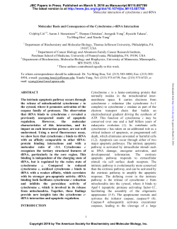 Molecular interaction of cytochrome c and tRNA Molecular