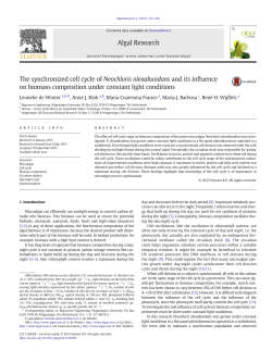 The synchronized cell cycle of Neochloris oleoabundans and its